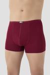 Picture of Bordo Erkek Bambu Boxer  İnce Bel Lastikli