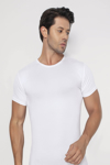 Picture of Erkek Slim Fit Dar Kesim Pamuklu Yumuşak Dokulu Beyaz Bisiklet Yaka Basic Tişört