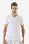 Picture of Erkek V Yaka T-Shirt Penye Süprem (%100 Pamuk)