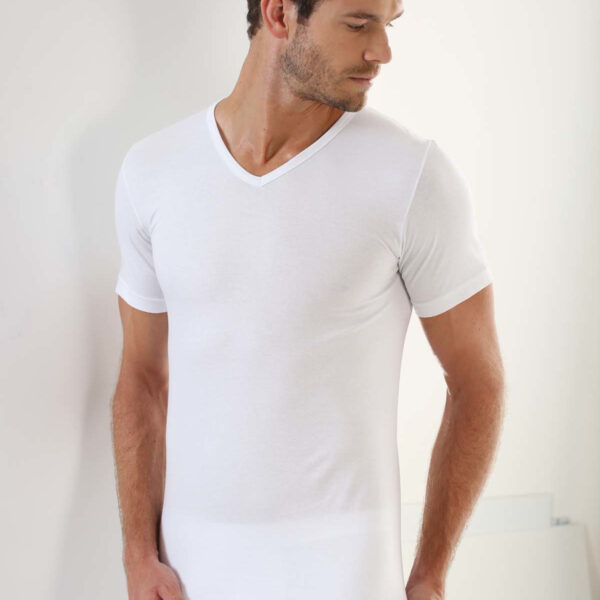 Erkek V Yaka T-Shirt Ribana