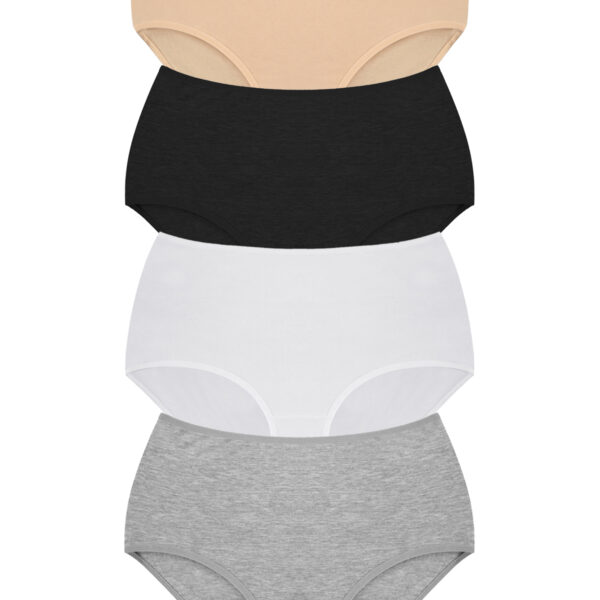 Women's Plus Size Panties 4-Pack High-Waist (100% Cotton)